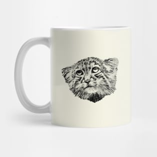 Manul-Pallas"s cat Mug